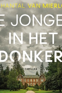 De jongen in het donker