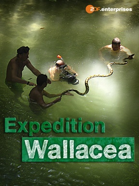Wallacea Expedition zur Wiege der Meeresfauna