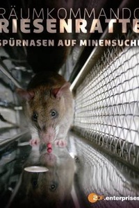 Räumkommando Riesenratte