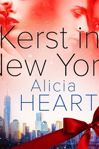 Kerst in New York - erotische verhaal
