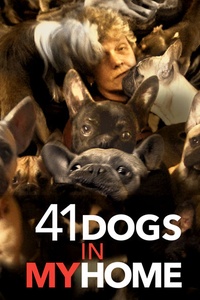 41 Dogs in My Home