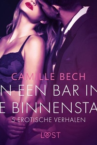 In een bar in de binnenstad – 5 erotische verhalen
