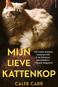 Mijn lieve kattenkop