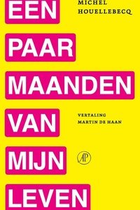 Een paar maanden van mijn leven