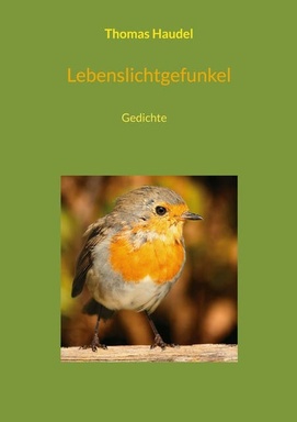 Lebenslichtgefunkel: Gedichte