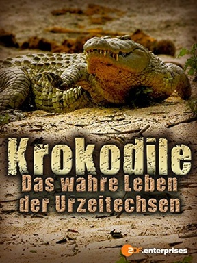 Krokodile - Das wahre Leben der Urzeitechsen