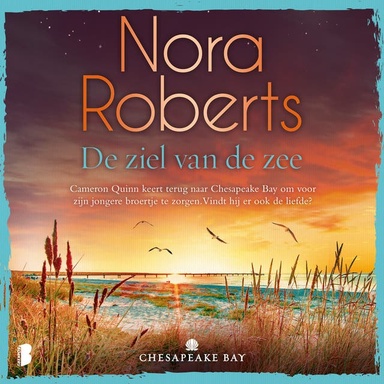 De ziel van de zee: Cameron Quinn keert terug naar Chesapeake Bay om voor zijn jongere broertje te zorgen. Vindt hij er ook de liefde?