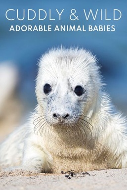 Cuddly & Wild: Adorable Animal Babies