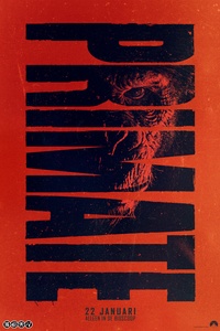 Primate