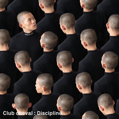 Club cheval: Discipline