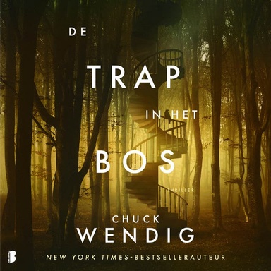 De trap in het bos