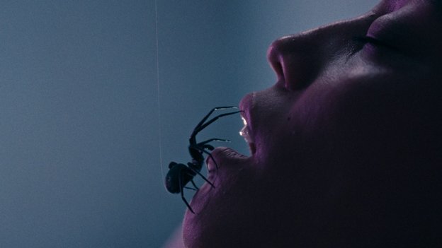 Crawlers Review