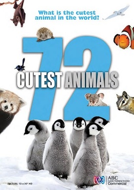 72 Cutest Animals (Seizoen 1)