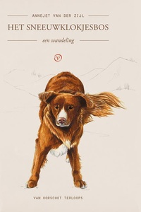 Het sneeuwklokjesbos: Een wandeling