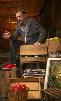 Colin Quinn: The New York Story