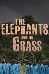The Elephants and the Grass