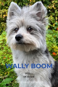 Wally Boom
