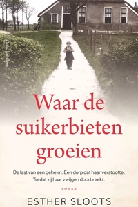 Waar de suikerbieten groeien