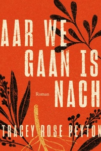 Waar we gaan is nacht