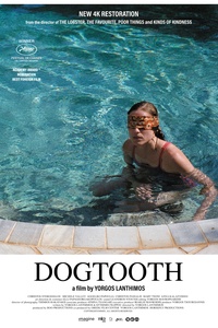 Dogtooth
