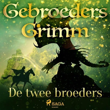 De twee broeders