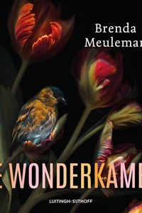 De wonderkamer