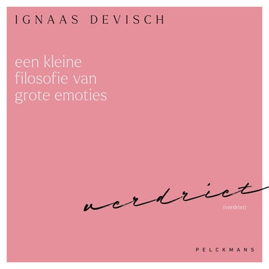 Een kleine filosofie van grote emoties: Verdriet