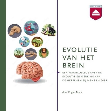 Evolutie van het brein