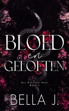 Het Duistere Duet 2 - Bloed en geloften