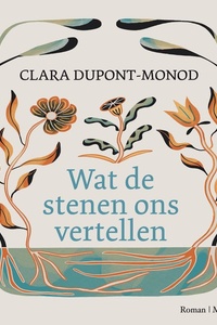 Wat de stenen ons vertellen