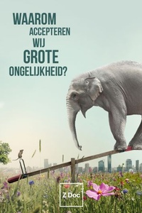 Waarom Accepteren Wij Grote Ongelijkheid