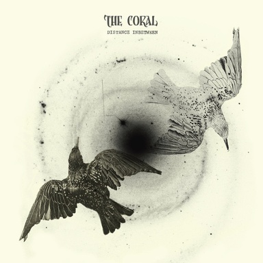 The Coral: Distance Inbetween