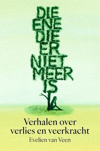 Die ene die er niet meer is: Verhalen over verlies en veerkracht