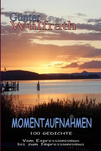 Momentaufnahmen: 100 Gedichte