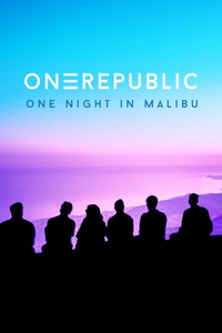 One Night In Malibu