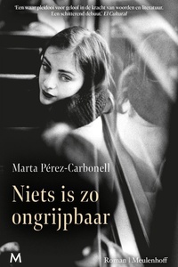 Niets is zo ongrijpbaar