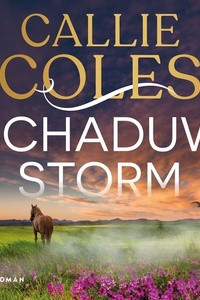 Schaduwstorm