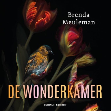De wonderkamer