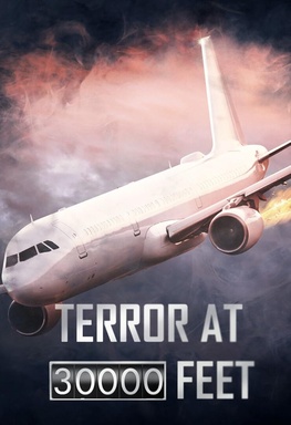 Terror At 30.000 Feet