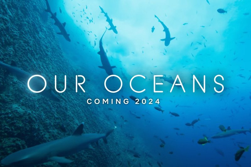 Barack Obama duikt diep in de oceanen: Een verrassende verteller in deze nieuwe natuurserie op Netflix