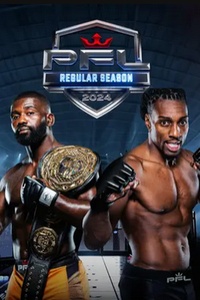 Professional Fighters Global