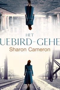Het Bluebird geheim