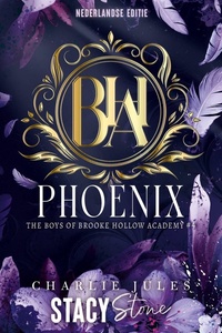 The boys of Brooke Hollow Academy 4 - Phoenix