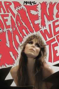 Naar De Haaien & Weer Terug