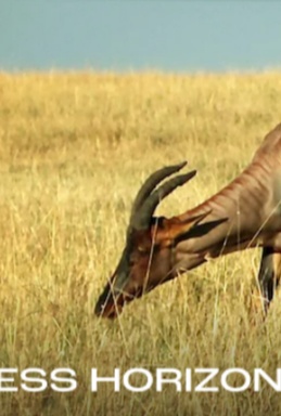 Endless Horizon