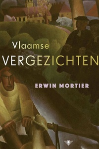 Vlaamse vergezichten