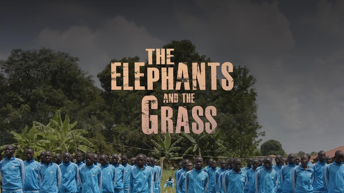 The Elephants and the Grass
