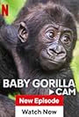 Baby Animal Cam