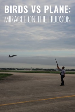 Birds Vs. Plane: Miracle On The Hudson