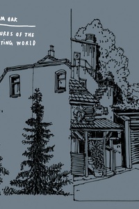 Pictures of the Floating World (Live in Brussels)